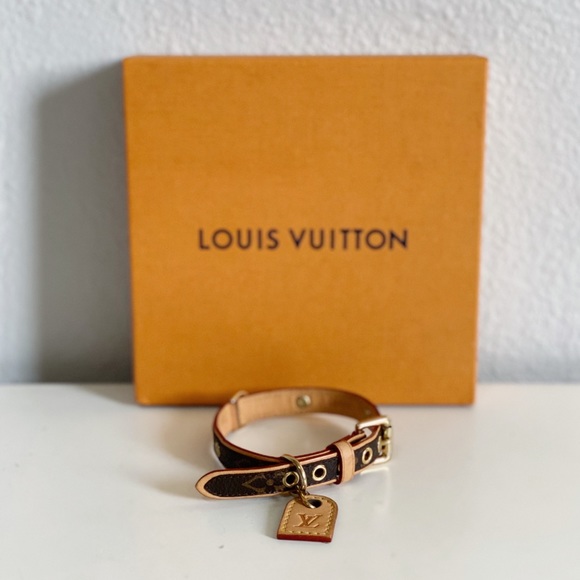 Louis Vuitton Other - Louis Vuitton Dog Collar